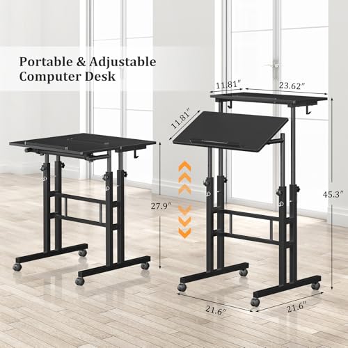 Enayplon Small Standing Desk on Wheels - Portable Adjustable Height Mobile Workstation, Black