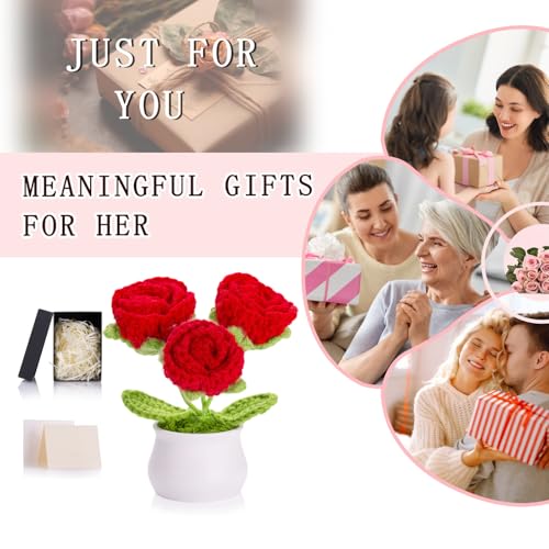 ZHIYUXI Red Eternal Rose Crochet Preserved Roses Forever Flower Decor for Teacher's Day, Birthday, Christmas, Anniversary, Crochet Gifts for Women, Mom, Wife