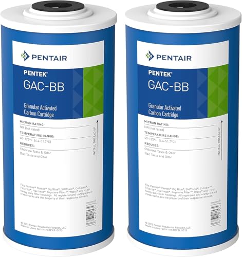 Pentair Pentek GAC-BB 10x4.5 inch Whole House Carbon Water Filter 2-Pack