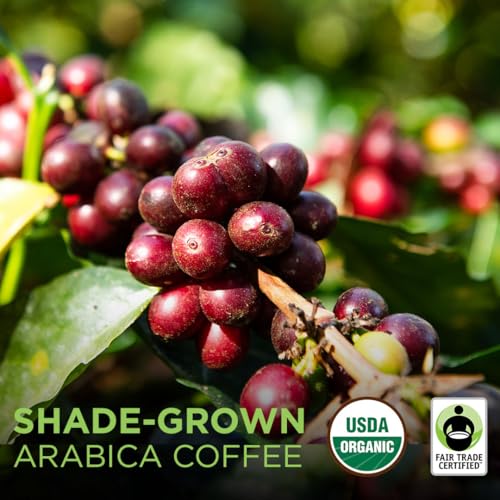 Tiny Footprint Coffee Organic Light Roast Whole Bean Coffee 3lbs - Carbon Negative & USDA Organic