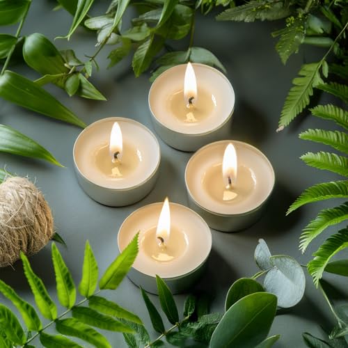 Palm Wax Tea Lights Candles 200 Pack - Unscented, 6 Hour Burn, Clean & Smokeless