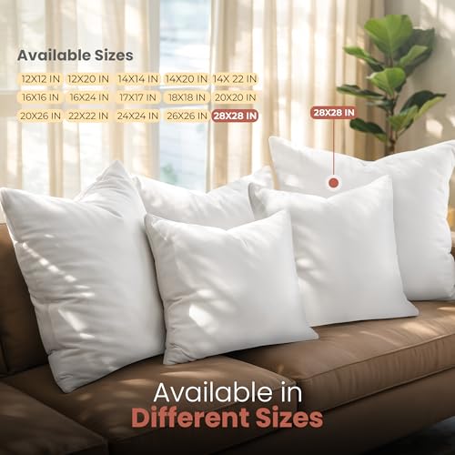 White 28x28 Inch Pillow Inserts - Pack of 2 for Couch & Bed, Soft Durability