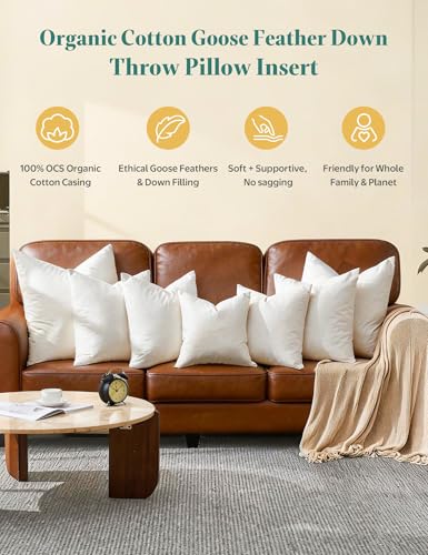 White Goose Feather Down Throw Pillow Inserts 20x20 Inch Set of 2 - Organic Cotton Cover