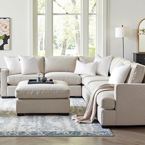 MIULEE 24x24 Pillow Inserts Pack of 2,Down Alternative Throw Pillows