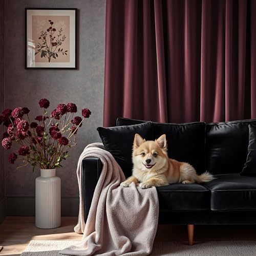 Pitalk Ruby Wine Velvet Curtains 52x84 Inches, 2 Panels, Dark Purple - Insulated Darkening Drapes for Living Room & Bedroom