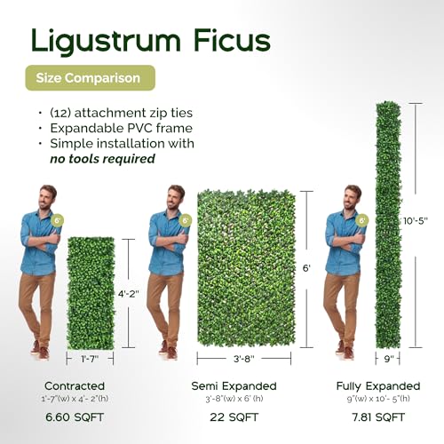 NatraHedge 20x50 Faux Privacy Grass Wall Ficus Leaf Decor - Outdoor Garden Screen