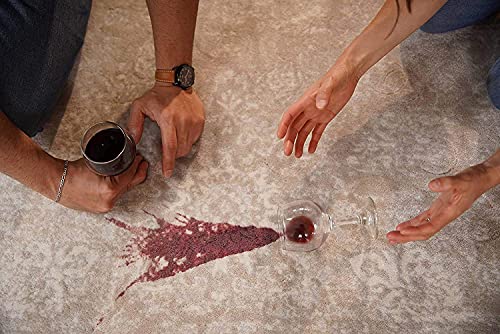 Carpet Stain Remover Spray - Instant Odor & Spot Elimination, 3 Pack