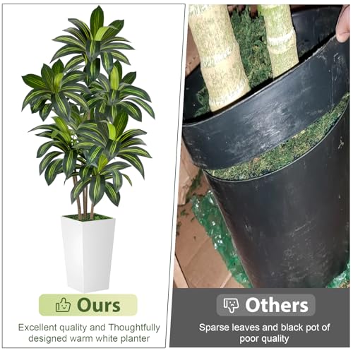 6FT Artificial Dracaena Tree with White Planter - Indoor & Outdoor Faux Tree