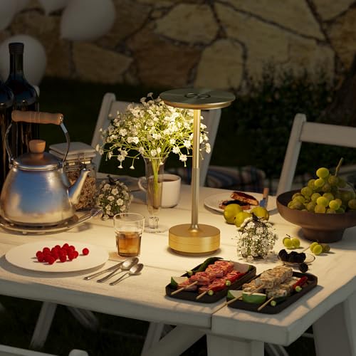 ZTFLOS Gold 2-Pack Rechargeable Cordless LED Table Lamps, Portable Battery Lights