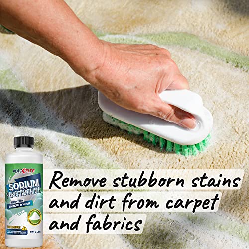 Sodium Percarbonate 10 lbs - Multi-Purpose Oxygen Bleach & Cleaner - Pure Hydrogen Peroxide Alternative