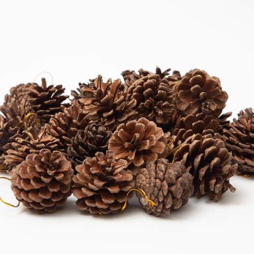 30Pcs Pine Cones for Craft Christmas Rustic Pine Cones with String Fall Garland Decor Christmas Tree Ornaments Winter Vase Filler