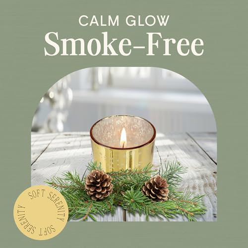 Mister Candle Gold Set of 12 Pine Scented Holiday Votive Candles with Essential Oils, 15 Hr Burn Time