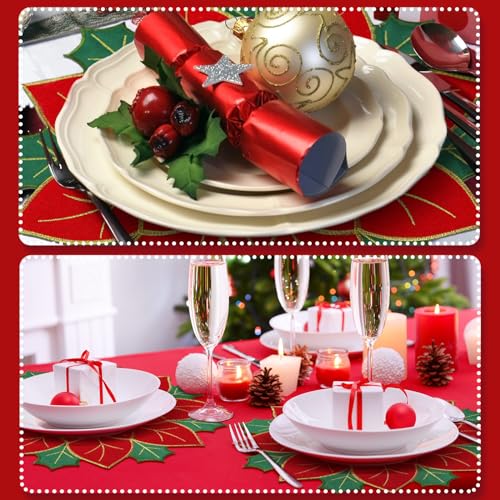Ganeen 12 Pcs Christmas Poinsettia Placemats Set Embroidered Red