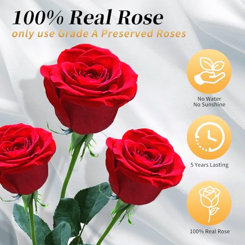 Light Blue Single Forever Rose Gift for Women & Men, Romantic Floral Bouquet