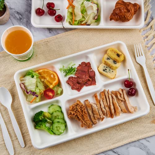ECOLipak 12.5 x 8.6 Inch Compostable 5-Compartment Paper Plates 100 Pack