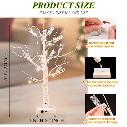 2FT White Birch Tree Gift Holder with LED Lights & Clips for Events