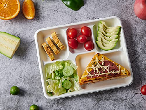 Vplus 500 Pack 5-Compartment Compostable Sugarcane Plates, 10.2x8.5 Inches — White, Eco-Friendly, Disposable Food Trays