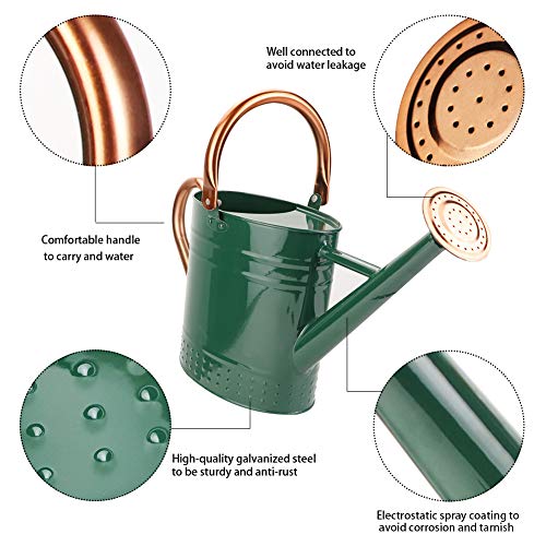 Green 1 Gallon Metal Watering Can with Removable Spout - Galvanized Steel Garden Hand Tool