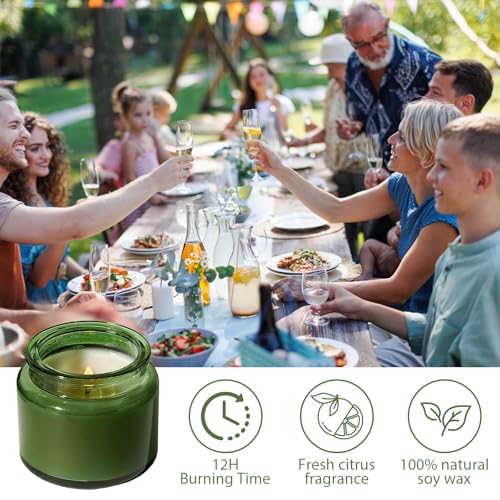Veiuwa 12-Pack Green Citronella Candles 4oz Outdoor Reusable Tins, Long Burn for Patio Garden Camping