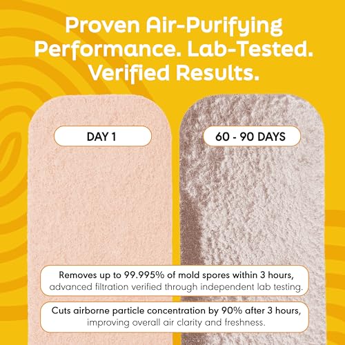 Barnakl Pet Odor & Dander Ceiling Fan Filter Set - 5 Pack, Natural Zeolite