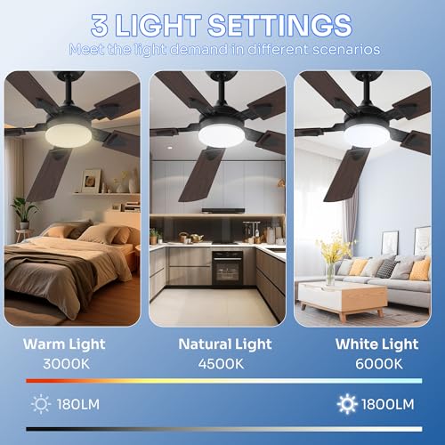 Crazypai Black 52-Inch Modern Ceiling Fan with Lights and Reversible Blades