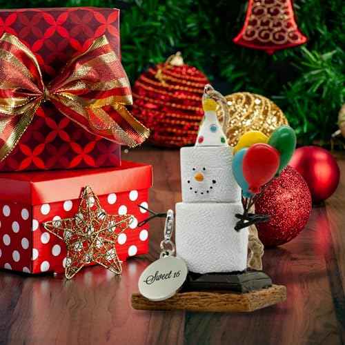 S¡¯More Birthday Ornaments for Christmas Tree, Desk, Shelf - Happy Birthday Ornaments Sweet 16