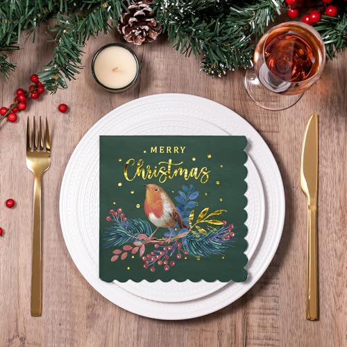 Christmas Paper Napkins 50-Pack, 3-Ply Holiday Bird & Merry Christmas Design