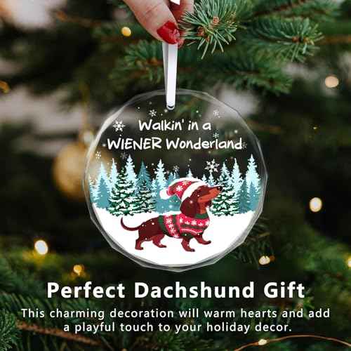 Christmas Ornaments 2025 - Dachshund Christmas Decorations Weiner Dog Decor Dachshund Gifts for Women Glass Christmas Dachshund Ornament with Box