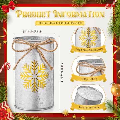 Domensi 12pcs Christmas Snowflake Vases Gold Rustic Farmhouse Decor Variation: Gold & Iron