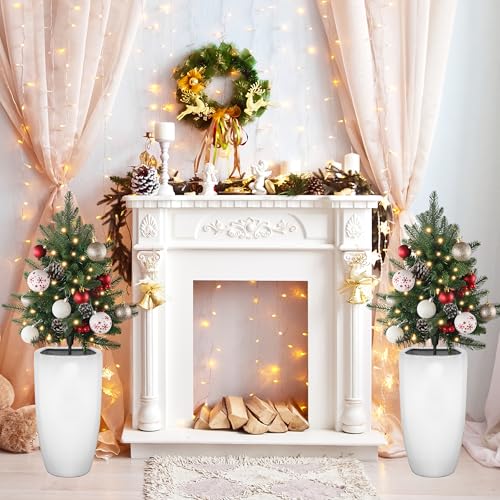 Sunnyglade 27-Inch Outdoor Christmas Tree Set of 2 with 60 LED Lights