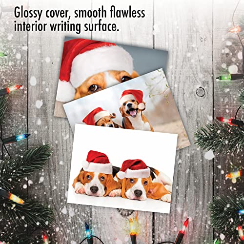 Bouncing Beagles Christmas Notecards – Best Card Co. 20 Assorted 4x5 Cards
