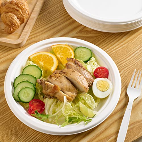 9-Inch Compostable Sugarcane Fiber Paper Plates - 500 Pack, White