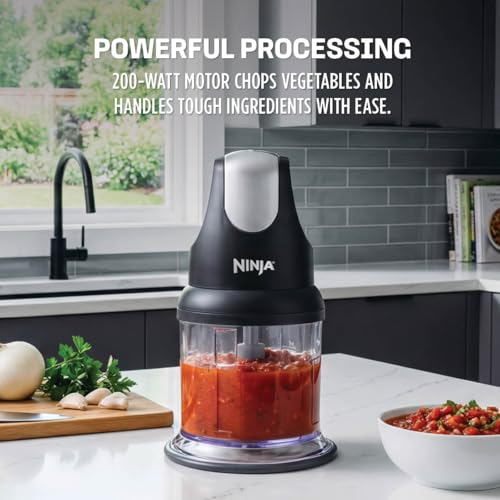 Ninja Express Chop Manual Food Processor 16oz Gray NJ100GR