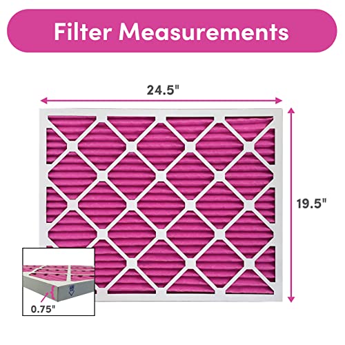 20x25x1 Air Filter 2-Pack - Pet Odor & Dust Removal - Made in USA