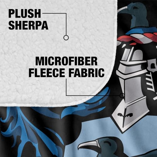 Ravenclaw Crest 1 50x60 Silky Touch Sherpa Back Throw Blanket - LOGOVISION