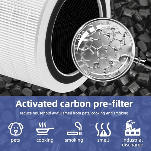 Pulluty 12010 HEPA Replacement Filter for Clorox Large Room Air Purifier 11010 & 11011 - 3-in-1 H13 True HEPA & Activated Carbon, 2 Pack