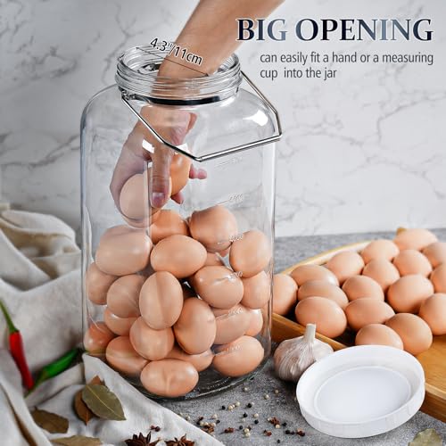 2 Gallon Airtight Glass Storage Jar with Removable Handle - Large Kitchen Canister