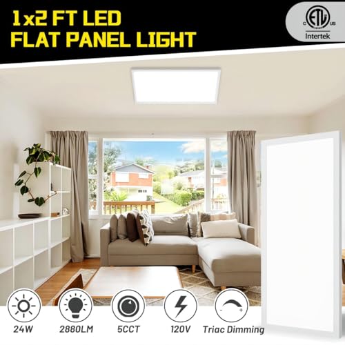 White 1Ft x 2Ft LED Flat Panel Light 24W 2880LM Dimmable Surface Mount 2-Pack