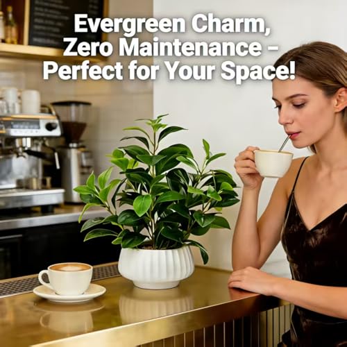 Artificial Peperomia Plants 16” Tall in White Ribbed Ceramic Planter - Plant-b by Ewtogift