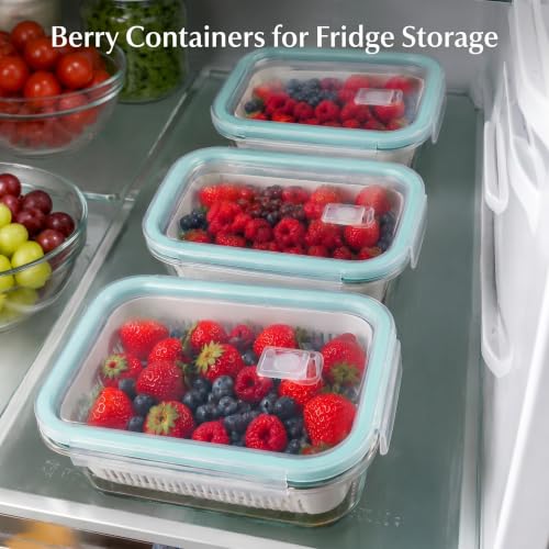 Glass Fruit & Berry Storage Containers Set with Removable Colanders and Vent Lids - 5 Pack, Multiple Sizes