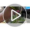 Artificial Dracaena Tree 5FT Tall with White Planter & Woven Basket - Fake Indoor Plant