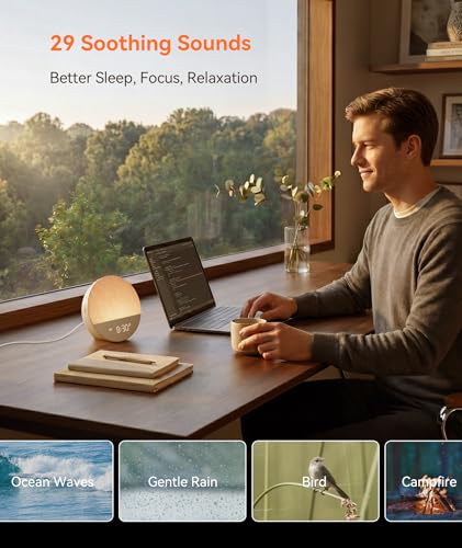 Dreamegg Sunrise Alarm Clock with Natural Wake Up Light & White Noise Machine