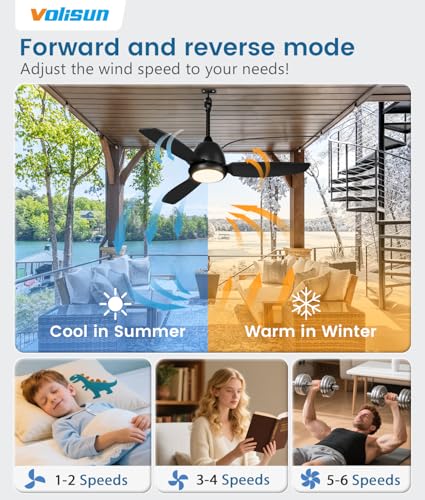 Black Outdoor Ceiling Fan with Light 42in Weatherproof Remote & App Control