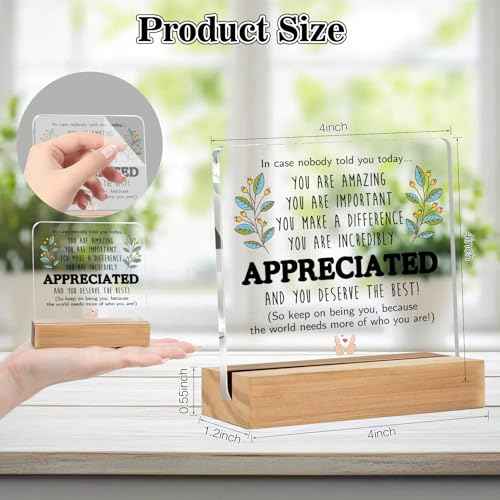 Inspirational Appreciation Gifts for Coworker Teacher Friends - Office Desk Decor - Thank You Christmas Stocking Stuffers for Employee - Welcome Farewell Birthday Retirement (4 X 4 Inches)