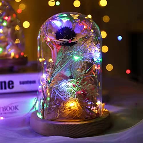 Sanniu 8 Pack Battery-Operated LED Fairy Lights 5m Copper Wire Multicolor Starry Strings