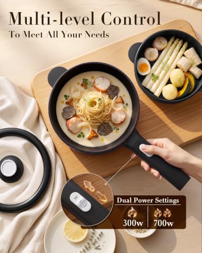 Dezin 2L Electric Hot Pot & Non-Stick Cooker - Matte Black, 700W Adjustable Power