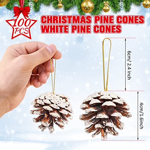 100 Pcs Christmas Pine Cone Ornaments Snowy Rustic Holiday Decor