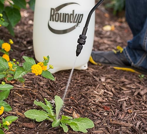 2 Gallon Lawn & Garden Sprayer for Weeds Insects & Deck Cleaning - Roundup