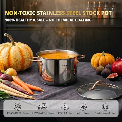 8 Quart Stock Pot with Lid - Tri-Ply Stainless Steel Induction Compatible