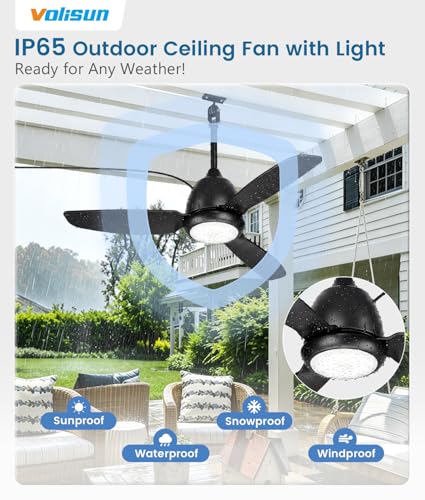 Black Outdoor Ceiling Fan with Light 42in Weatherproof Remote & App Control